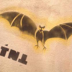 TNT. Paris, 1984.