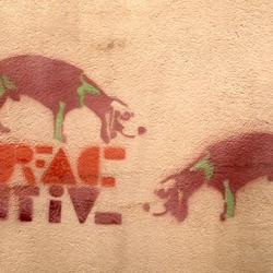 Surface Active. Paris, 1984.