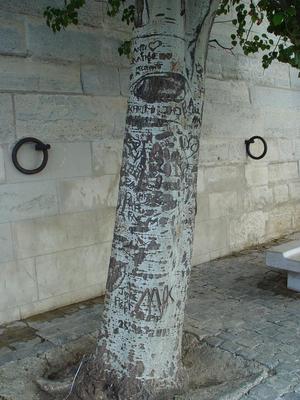 Auteurs inconnus. Paris, 2004.