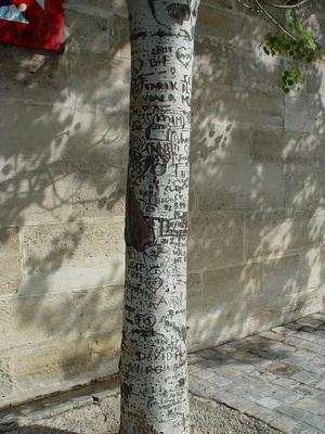Auteurs inconnus. Paris, 2004.