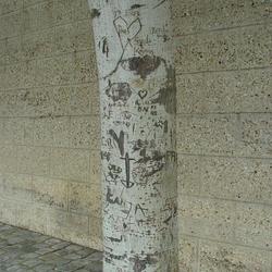 Auteurs inconnus. Paris, 2004.