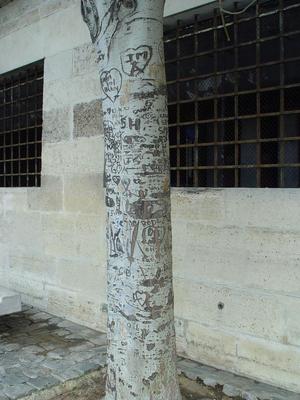 Auteurs inconnus. Paris, 2004.