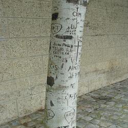 Auteurs inconnus. Paris, 2004.