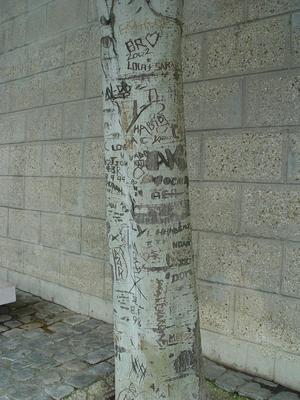 Auteurs inconnus. Paris, 2004.