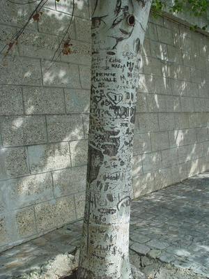 Auteurs inconnus. Paris, 2004.