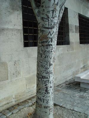 Auteurs inconnus. Paris, 2004.