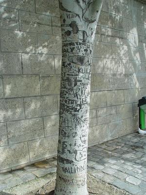Auteurs inconnus. Paris, 2004.