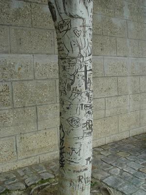 Auteurs inconnus. Paris, 2004.