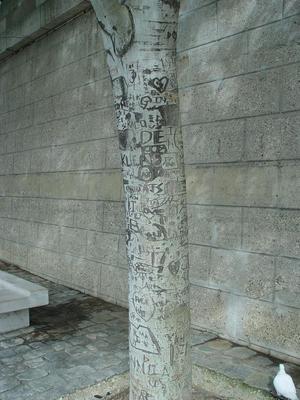 Auteurs inconnus. Paris, 2004.