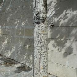 Auteurs inconnus. Paris, 2004.