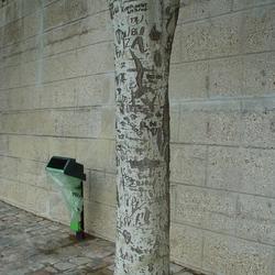 Auteurs inconnus. Paris, 2004.