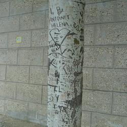 Auteurs inconnus. Paris, 2004.