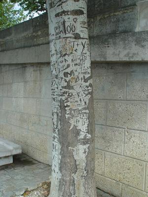 Auteurs inconnus. Paris, 2004.