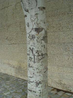 Auteurs inconnus. Paris, 2004.