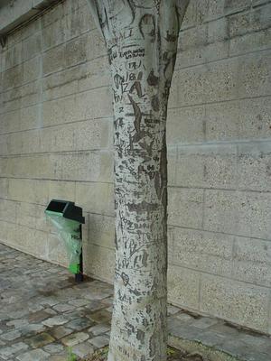 Auteurs inconnus. Paris, 2004.