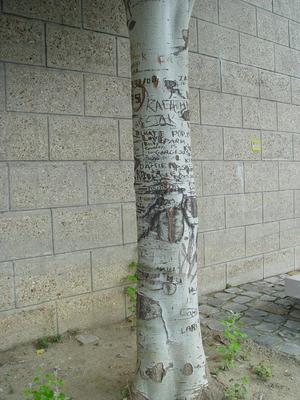 Auteurs inconnus. Paris, 2004.
