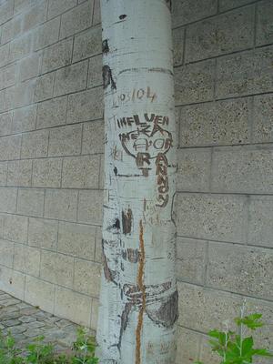 Auteurs inconnus. Paris, 2004.