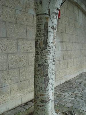 Auteurs inconnus. Paris, 2004.
