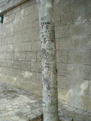 Auteurs inconnus. Paris, 2004.