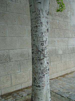 Auteurs inconnus. Paris, 2004.