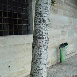 Auteurs inconnus. Paris, 2004.