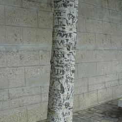 Auteurs inconnus. Paris, 2004.