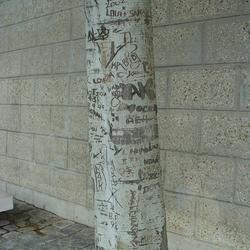 Auteurs inconnus. Paris, 2004.