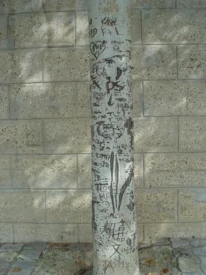 Auteurs inconnus. Paris, 2004.