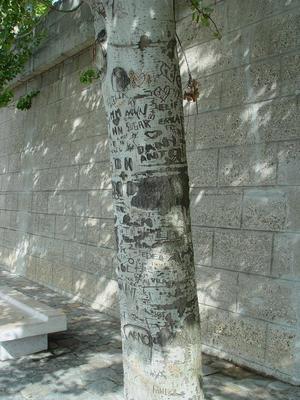 Auteurs inconnus. Paris, 2004.
