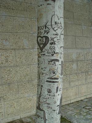 Auteurs inconnus. Paris, 2004.