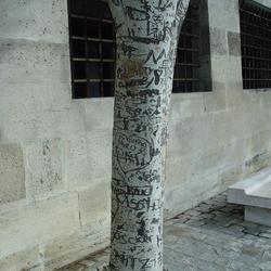 Auteurs inconnus. Paris, 2004.