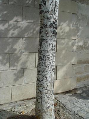 Auteurs inconnus. Paris, 2004.
