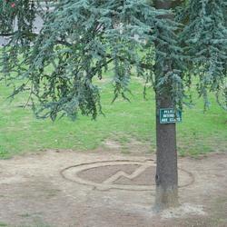 Auteur inconnu. Saint-Michel-sur-Orge, 2005.