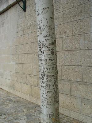 Auteurs inconnus. Paris, 2004.