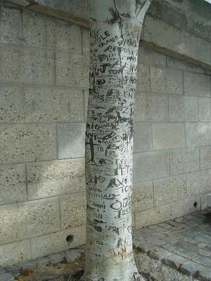 Auteurs inconnus. Paris, 2004.