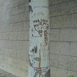 Auteurs inconnus. Paris, 2004.
