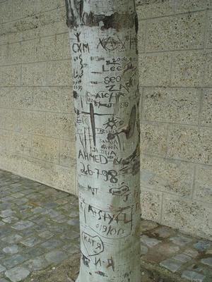 Auteurs inconnus. Paris, 2004.