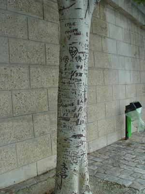 Auteurs inconnus. Paris, 2004.