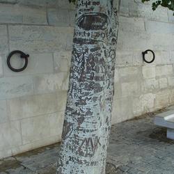 Auteurs inconnus. Paris, 2004.