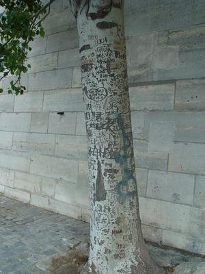 Auteurs inconnus. Paris, 2004.