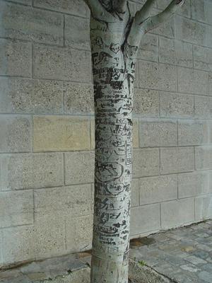 Auteurs inconnus. Paris, 2004.