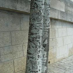 Auteurs inconnus. Paris, 2004.