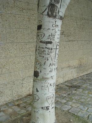 Auteurs inconnus. Paris, 2004.