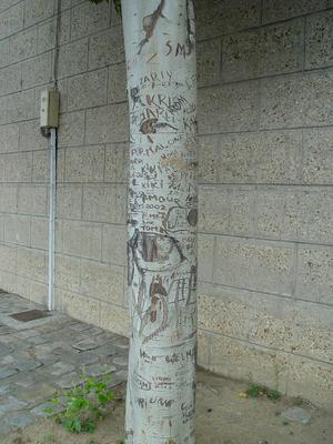 Auteurs inconnus. Paris, 2004.