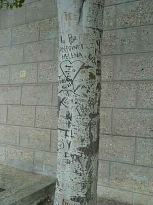 Auteurs inconnus. Paris, 2004.