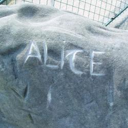 Auteur inconnu. Viry-Chatillon, 2005.