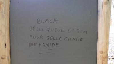 Auteur inconnu. Essonne, 2010.