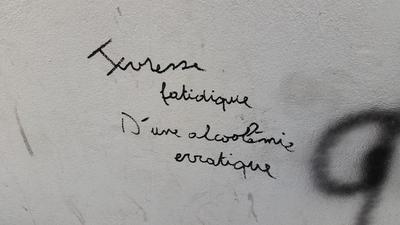 Auteur inconnu. Lyon, 2020.