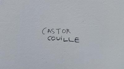 Auteur inconnu. Lyon, 2020.