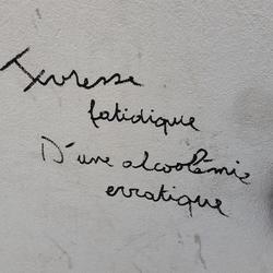 Auteur inconnu. Lyon, 2020.